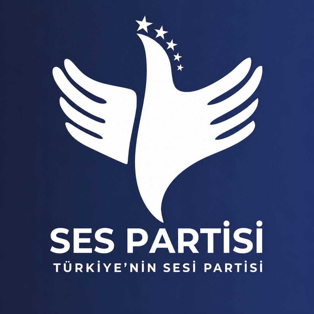 "Terörsüz Türkiye Perspektifi" Yasal Çerçevesi Hakkında Basın Açıklaması